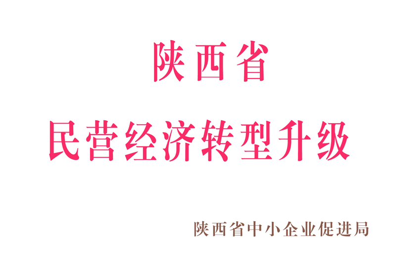 陜西省民營經(jīng)濟轉(zhuǎn)型升級